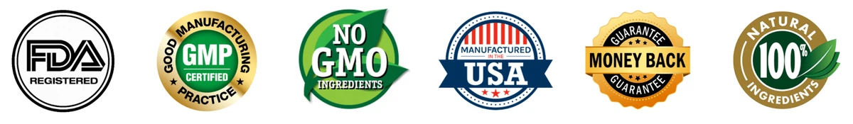 Synadentix Certificates